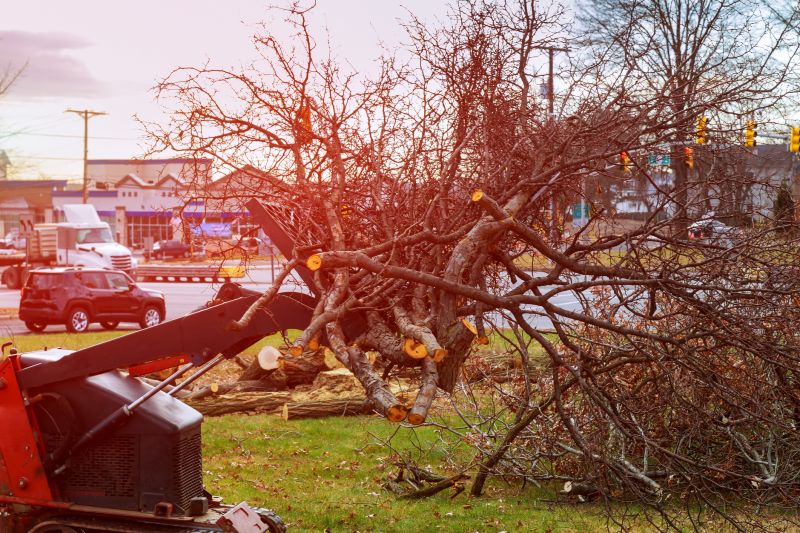 Land Clearing Service