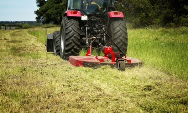 Cost of Brush Clearing Service in Lafayette
