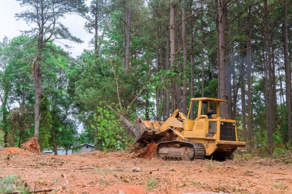 Cost of Property Clearing in Lafayette
