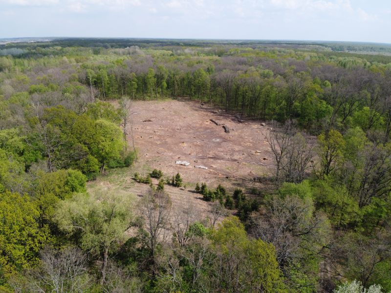 Planning Your Land Clearing